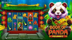 ncw casino
